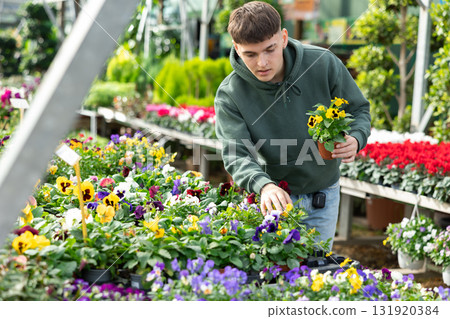 Young guy choosing wittrock violet in flower shop 131920384