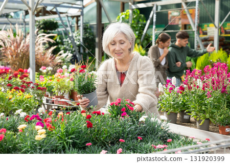 Elderly woman choosing carnations in flower shop Elderly woman choosing carnations in flower shop 131920399