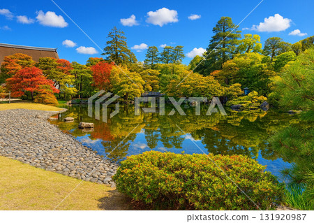 京都御所、池庭、內苑、紅葉 131920987