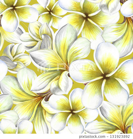 Seamless pattern with plumeria and frangipani flowers. A hand-drawn watercolor illustration. For textiles, wallpapers and backgrounds. For packaging paper and labels, printing and decoration. Seamless pattern with plumeria and frangipani flowers. A hand-drawn watercolor illustration. For textiles, wallpapers and backgrounds. For packaging paper and labels, printing and decoration. 131923892