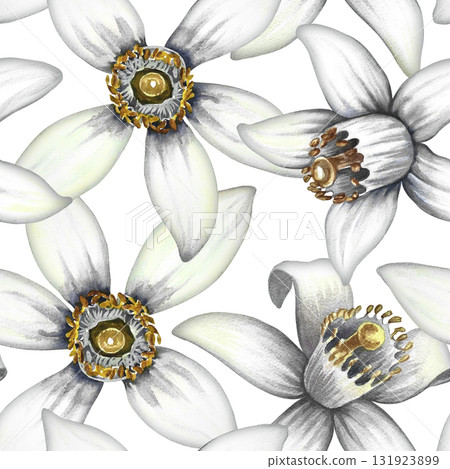 Seamless pattern with orange tree flowers. A hand-drawn watercolor illustration. For textiles, wallpapers and backgrounds. For packaging paper and labels, printing and decoration. Seamless pattern with orange tree flowers. A hand-drawn watercolor illustration. For textiles, wallpapers and backgrounds. For packaging paper and labels, printing and decoration. 131923899