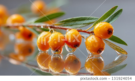 Sea buckthorn branch with vibrant berries reflected in droplets showcasing natural beauty 131924054