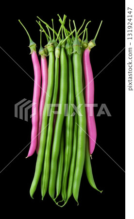 A Beautiful Bundle of Fresh Green Beans and Vibrant Purple Beans Isolated on a Black Background A Beautiful Bundle of Fresh Green Beans and Vibrant Purple Beans Isolated on a Black Background 131924147