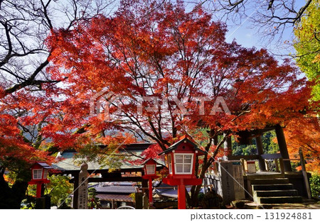 筱栗町明石寺的秋葉 筱栗町明石寺的秋葉 131924881
