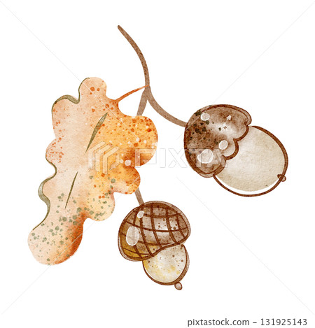 Watercolor oak branch cartoon illustration with acorn and leaf. Isolated hand-drawn element for autumn, forest and botanical design. For cards, labels, packaging, stickers, natural decoration themes. Watercolor oak branch cartoon illustration with acorn and leaf. Isolated hand-drawn element for autumn, forest and botanical design. For cards, labels, packaging, stickers, natural decoration themes. 131925143