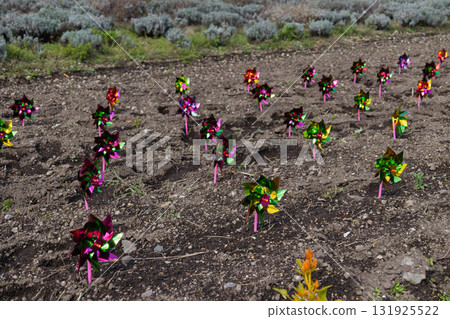 園藝用驅鳥風車 園藝用驅鳥風車 131925522
