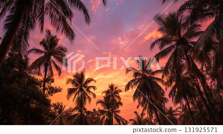 Tropical sunset sky and palm tree silhouettes 131925571