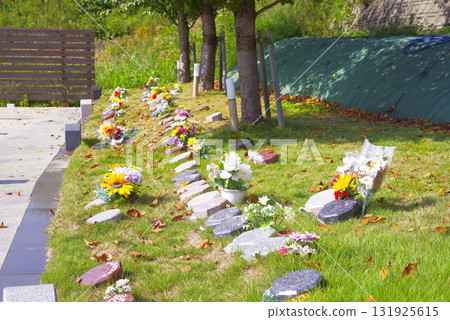 A cemetery surrounded by greenery A cemetery surrounded by greenery 131925615