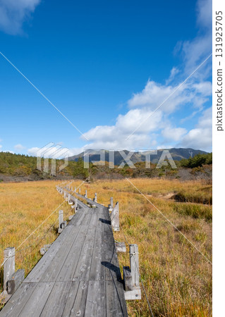 從沼原濕地的木板路欣賞紅葉美景 131925705