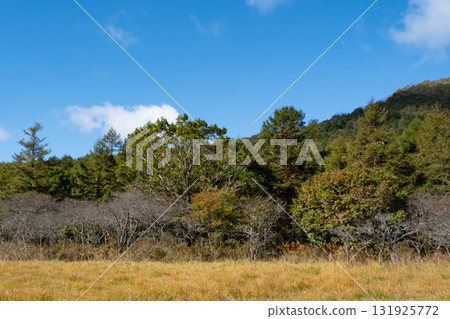 從沼原濕地的木板路欣賞紅葉 131925772