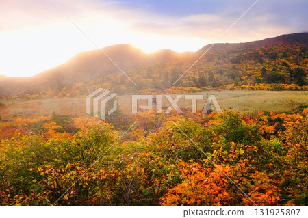 Nagorigahara of Mt. Kurikoma with autumn leaves in the morning glow 131925807