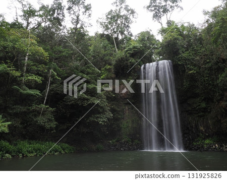 Millaa Millaa Falls – Silky drops falling in the silence of the forest 131925826