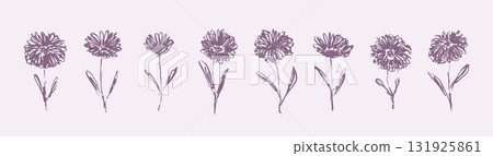 Delicate sketch textured muted purple flowers. Elegant outline ink brush hand drawing floral elements for women poster and feminine greeting card design, banner, logo, sticker Delicate sketch textured muted purple flowers. Elegant outline ink brush hand drawing floral elements for women poster and feminine greeting card design, banner, logo, sticker 131925861