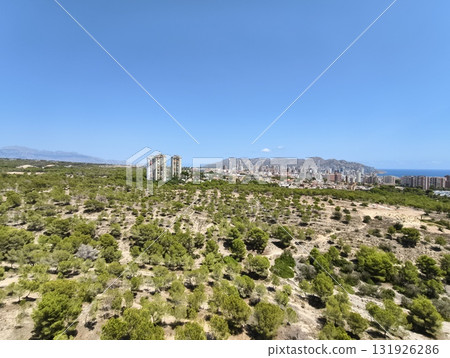 A stunning coastal landscape features a vibrant skyline surrounded by lush vegetation 131926286