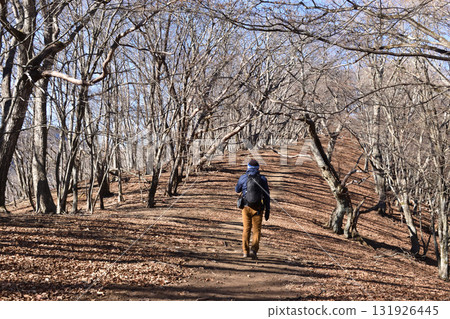 Winter withered mountain trail 131926445