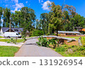 large tree has fallen across road, blocking access in peaceful neighborhood after tornado 131926954