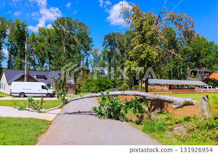 large tree has fallen across road, blocking access in peaceful neighborhood after tornado large tree has fallen across road, blocking access in peaceful neighborhood after tornado 131926954