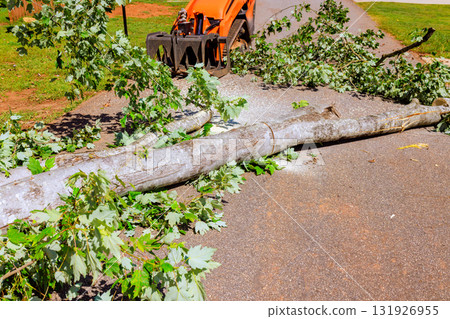Large fallen tree branch blocks sidewalk while crawler skid steer works on clearing area after tornado Large fallen tree branch blocks sidewalk while crawler skid steer works on clearing area after tornado 131926955