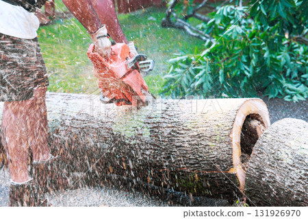 Home owner operates chainsaw to slice through large tree trunk in residential backyard under works day 131926970