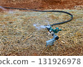 Watering system efficiently irrigates straw mulch on farm field under afternoon sun. 131926978
