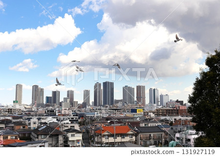 Musashi Kosugi skyscrapers distant view from Hiyoshi Park 131927119