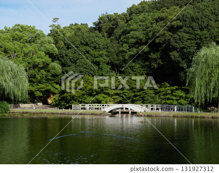 夏季漫步德川花園的女遊客 131927312