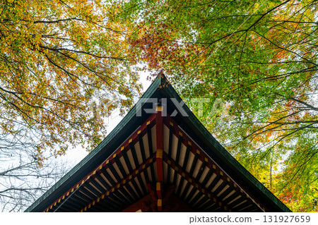 [Tokyo] Takao-san Yakuo-in Temple, where the leaves are starting to change color 131927659