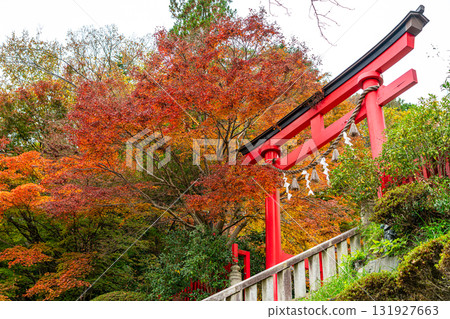 【東京】高尾山藥王院,樹葉開始變紅 【東京】高尾山藥王院,樹葉開始變紅 131927663