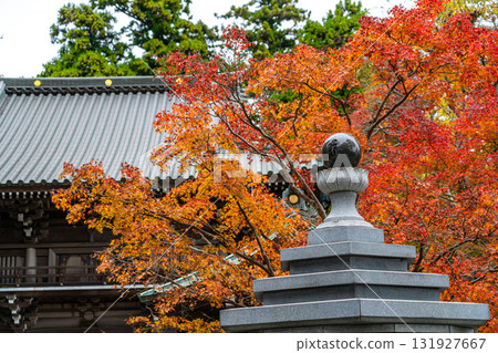[Tokyo] Takao-san Yakuo-in Temple, where the leaves are starting to change color 131927667