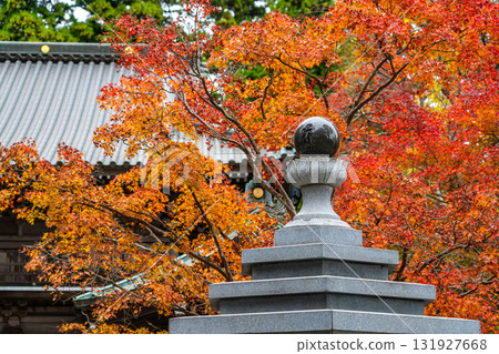 【東京】高尾山藥王院，樹葉開始變紅 131927668