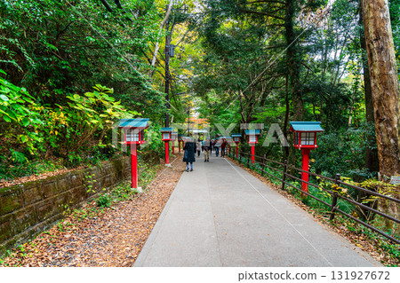 【東京】高尾山藥王院的參道,紅葉繽紛,美不勝收 【東京】高尾山藥王院的參道,紅葉繽紛,美不勝收 131927672