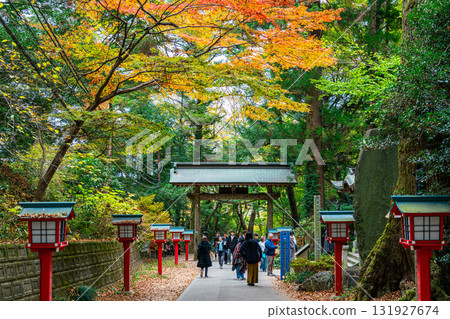 【東京】高尾山藥王院的參道，紅葉繽紛，美不勝收 131927674