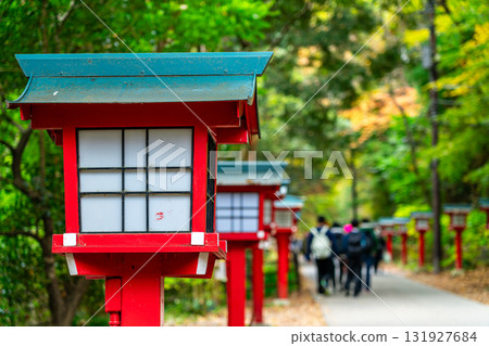 [Tokyo] Lanterns lined up along the approach to Takao-san Yakuo-in Temple 131927684