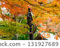 [Tokyo] Takao-san Yakuo-in Temple, where the leaves are starting to change color 131927689
