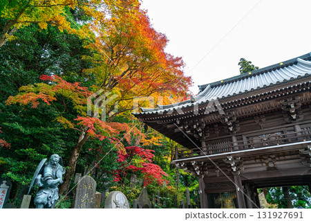 [Tokyo] The beautiful autumn leaves at the gate of Takao-san Yakuo-in Temple 131927691