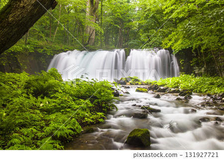 [Aomori Prefecture_Oirase Gorge_Choshi Falls] Plenty of negative ions, refreshing 131927721