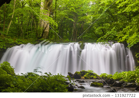 [Aomori Prefecture_Oirase Gorge_Choshi Falls] Plenty of negative ions, refreshing 131927722
