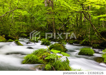 [Aomori Prefecture_Oirase Gorge_Ishigedo] Miniature garden of Oirase 131928126
