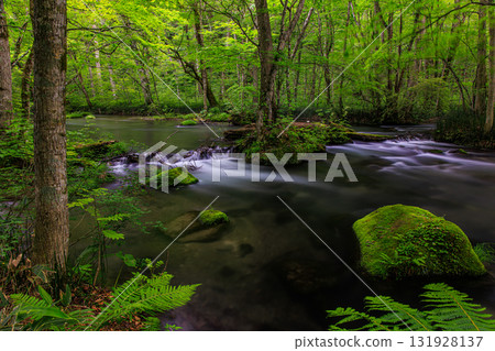 [Aomori Prefecture_Oirase Gorge_Ishigedo] Miniature garden of Oirase 131928137