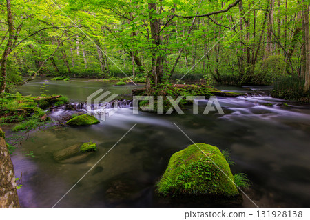 [Aomori Prefecture_Oirase Gorge_Ishigedo] Miniature garden of Oirase 131928138