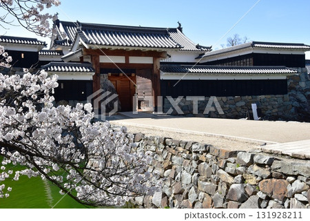 Matsumoto Castle Taikomon Gate (Ninomon Gate) and cherry blossoms in full bloom, Matsumoto City, Nagano Prefecture 131928211