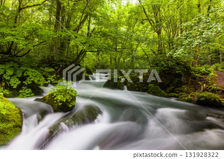 [Aomori Prefecture_Oirase Gorge_Asura Stream] The most beautiful stream in Oirase 131928322