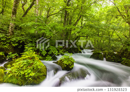 【青森縣_奧入瀨溪流_阿修羅溪流】奧入瀨最美的溪流 131928323