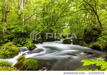 【青森縣_奧入瀨溪流_阿修羅溪流】奧入瀨最美的溪流 【青森縣_奧入瀨溪流_阿修羅溪流】奧入瀨最美的溪流 131928326