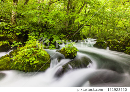 【青森縣_奧入瀨溪流_阿修羅溪流】奧入瀨最美的溪流 【青森縣_奧入瀨溪流_阿修羅溪流】奧入瀨最美的溪流 131928330