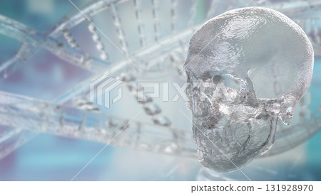 The Skull for Education or Sci concept 3d Rendering. 131928970