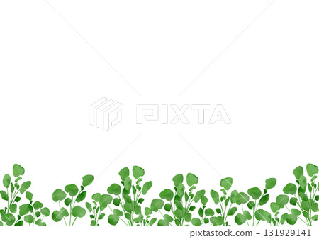 Watercolor illustration of watercress Watercolor illustration of watercress 131929141