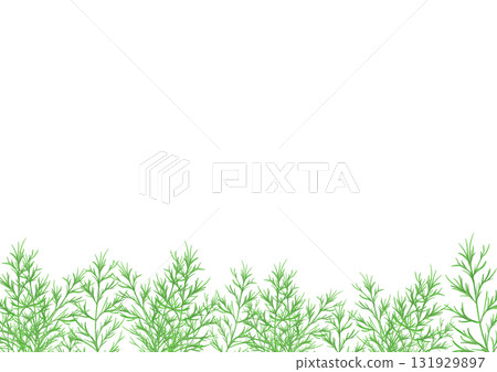 Watercolor illustration of dill Watercolor illustration of dill 131929897