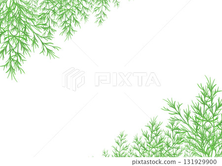 蒔蘿的水彩插圖 蒔蘿的水彩插圖 131929900