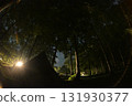在樹林露營 在樹林露營 131930377